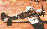 Originálna farebná fotka Fw-190 (57k)