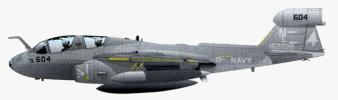Letka radioelektronického boja VQ-164 z CV 63 Kitty Hawk(13k)