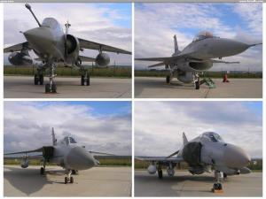 army nose