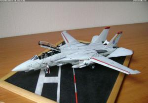 Americká šelma F-14D Tomcat III