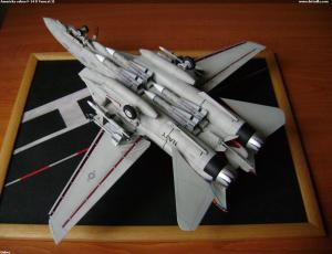 Americká šelma F-14 D Tomcat II