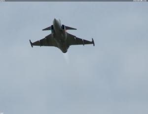 gripen