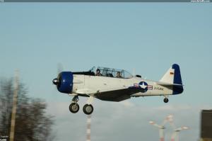 T-6