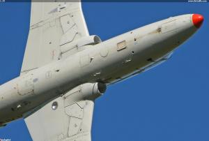 L-29