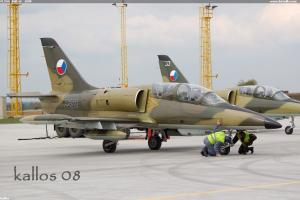 FLYNG  RHINO   2008