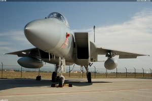 CIAF 08