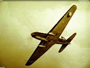Il10