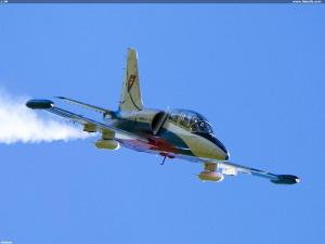 L-39