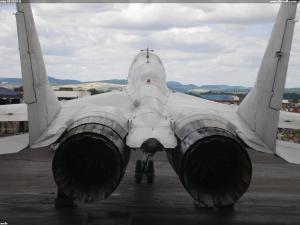 mig-29 (5304)