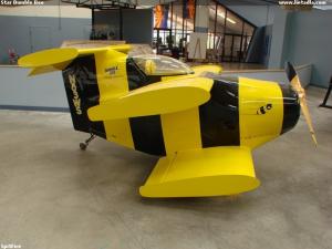 Star Bumble Bee