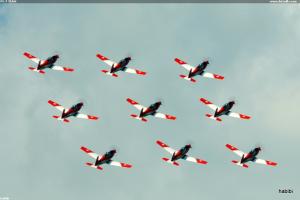 PC-7 TEAM