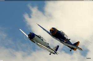 2 x T-6 ;)