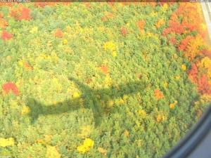 Airbus A321  D-AIRD shadow