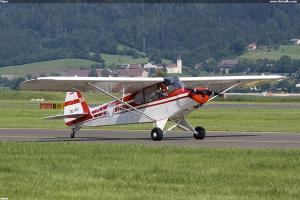 Piper