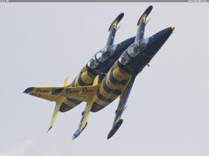 2 x L-39