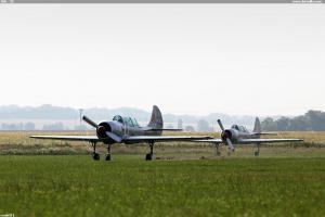 JAK - 52