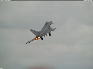 NLD2010 JAS39 Gripen