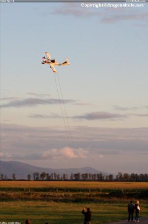 CriCri fun =)