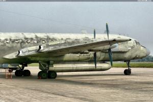 IL-20M