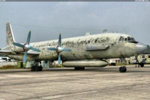 IL-20M