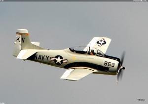 T-28