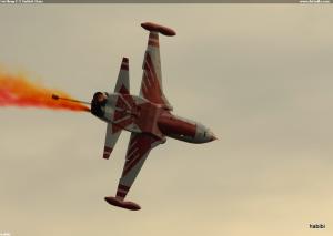 Northrop F-5 Turkish Stars