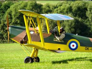 Tiger Moth