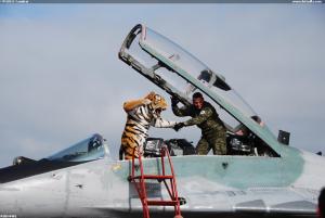 NTM2011 Cambrai