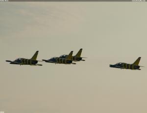 Baltic Bees