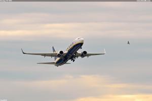 Boeing 737-8AS
