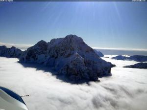 Shark nad Alpami