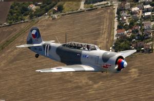 C-11