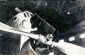Vintage aviation