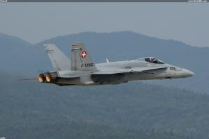 Hornet
