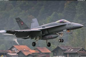 Hornet v Meiringenu