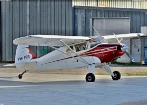 Piper Caribean
