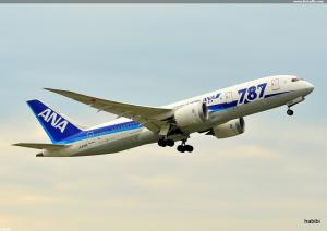 JA-806A / ANA Boeing 787