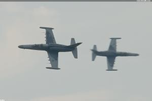 2x ALCA