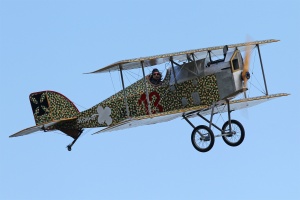 Aviatik D.I (Berg D.I)