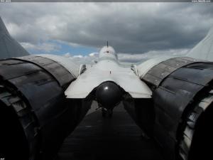 MiG-29UB